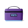 Pace Purple/Blue