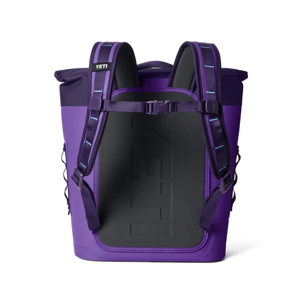 Pace Purple/Blue