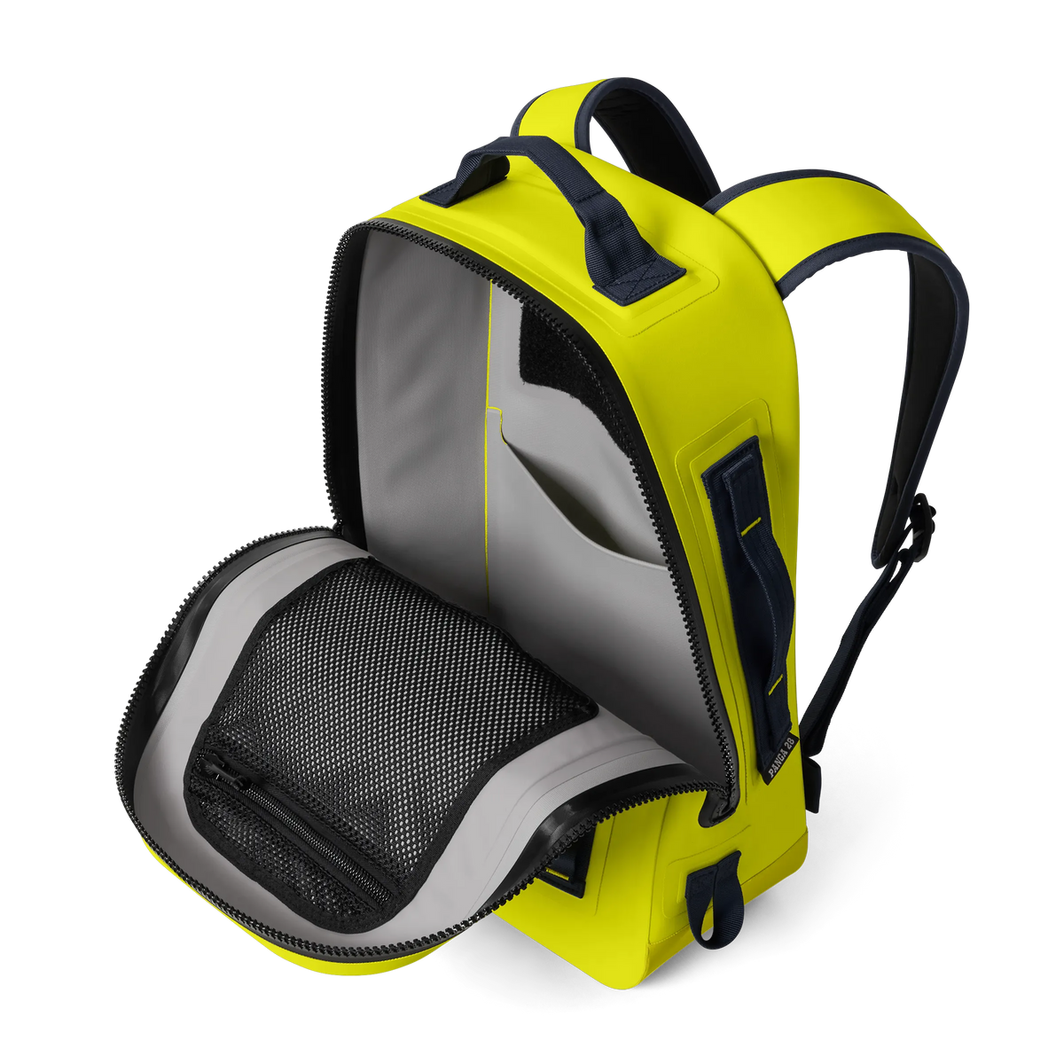 Firefly Yellow